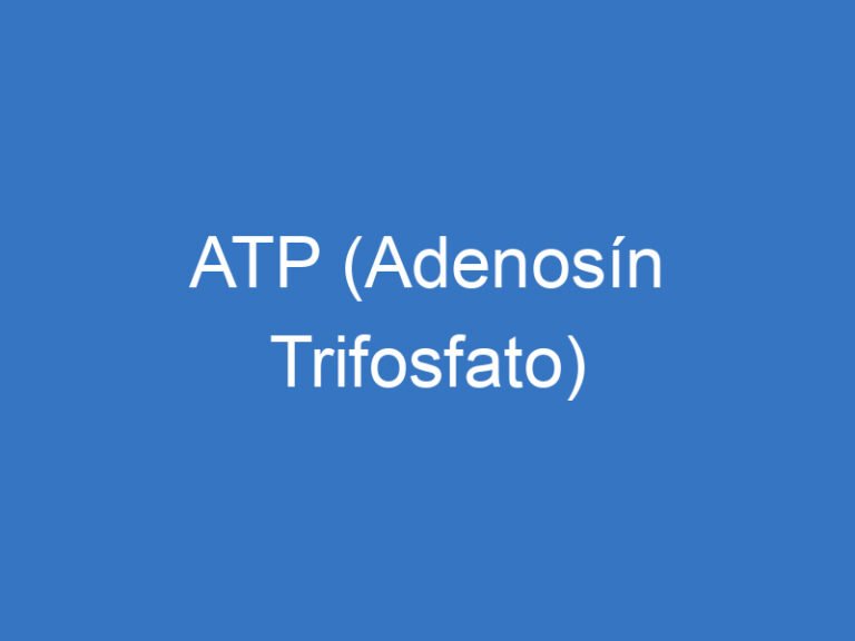 ATP (Adenosín Trifosfato)