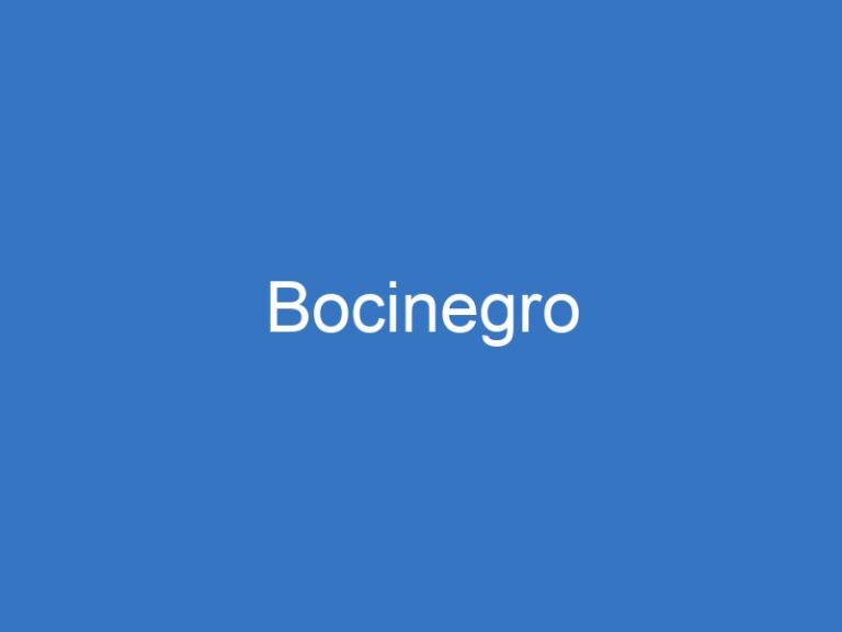 Bocinegro