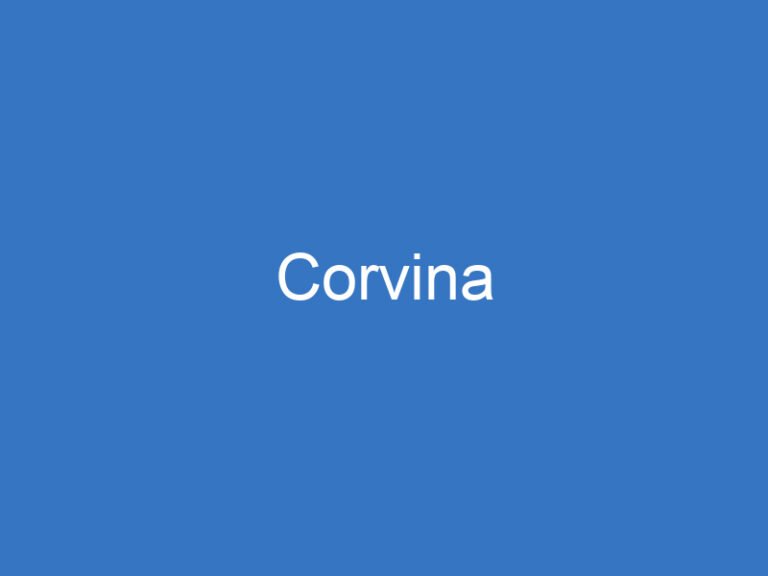 Corvina