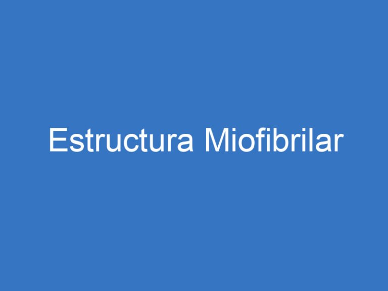 Estructura Miofibrilar