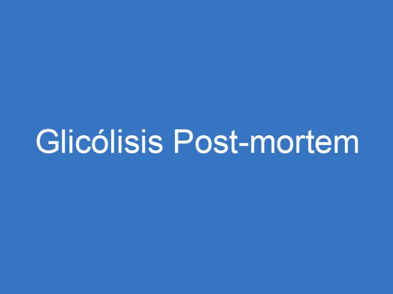 Glicólisis Post-mortem