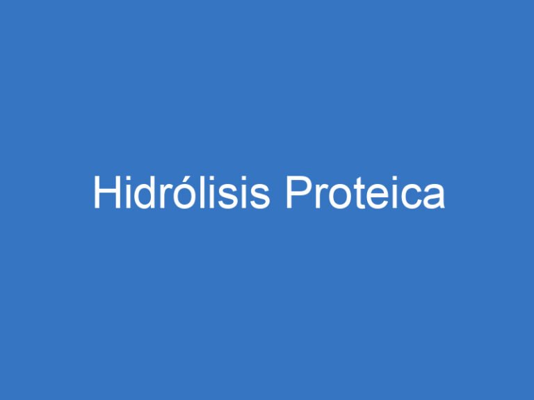 Hidrólisis Proteica