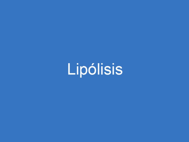 Lipólisis