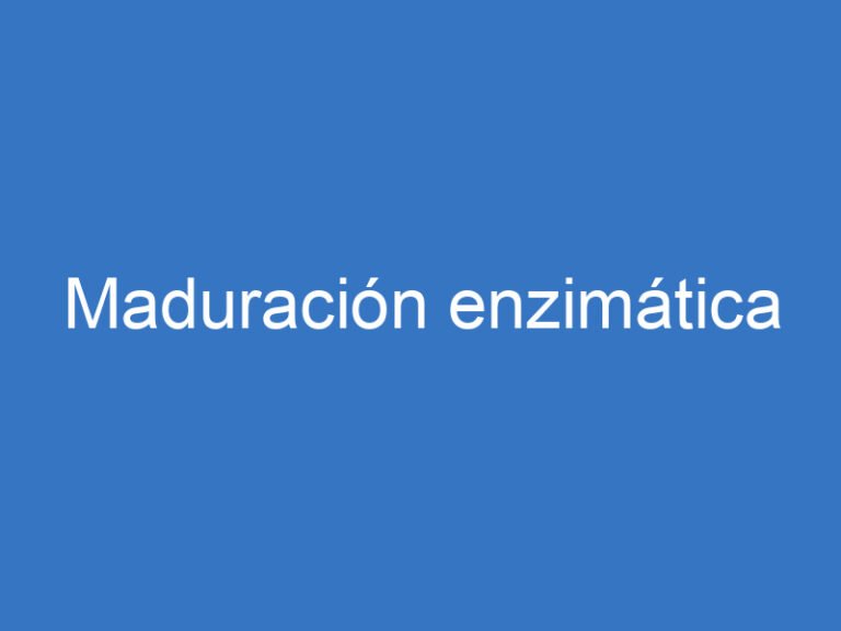 Maduración enzimática