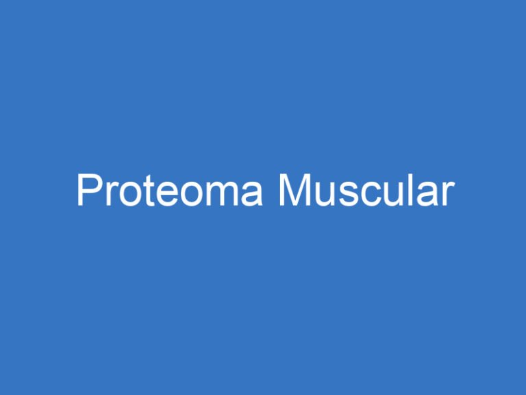 Proteoma Muscular