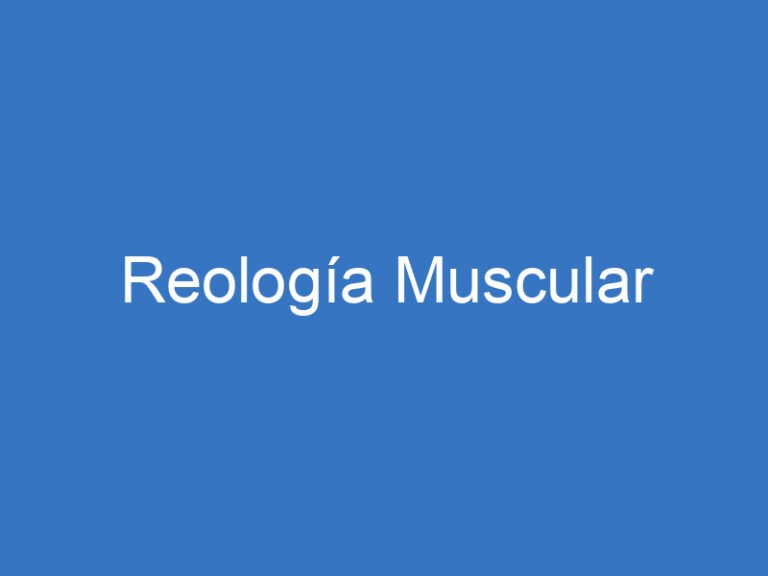 Reología Muscular