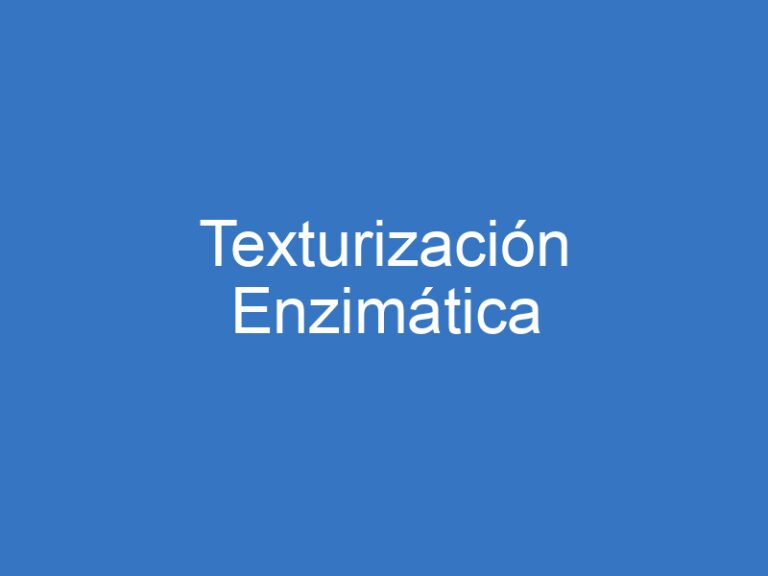 Texturización Enzimática