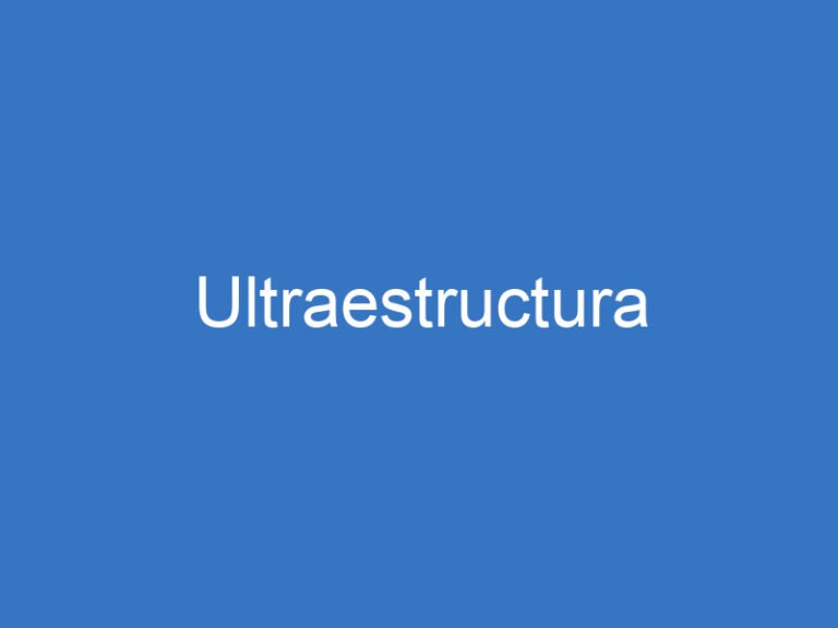 Ultraestructura