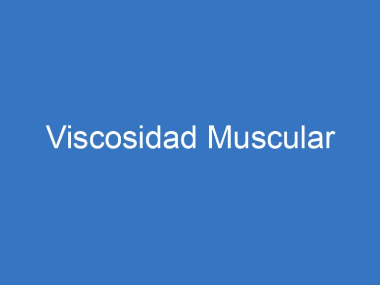 Viscosidad Muscular